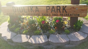 Didlike Park sign