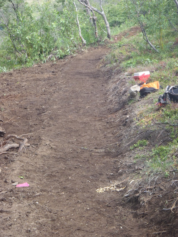 Dirt trail