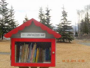 Little Free Library with red trim