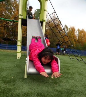 Child slides head first down playground slide.