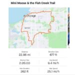 Mini Moose and the Fish Creek Trail