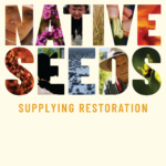 SEEDS_Poster_Main(web-res)