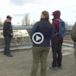 Screenshot 2024-06-14 123010