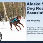 f2f9d390-d12c-385f-91d1-2d2b6cd6734c